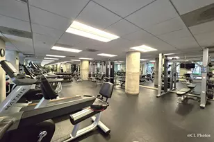 720 N Larrabee St, Chicago, IL 60654 - Photo 21