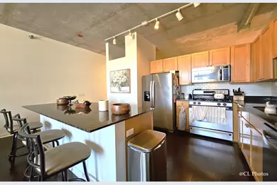 720 N Larrabee Street #1104, Chicago, IL 60654 - Photo 5
