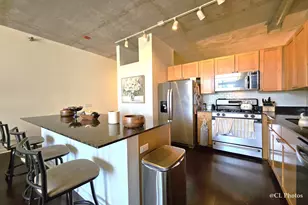 720 N Larrabee St, Chicago, IL 60654 - Photo 5
