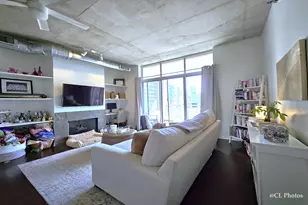 720 N Larrabee St, Chicago, IL 60654 - Photo 9
