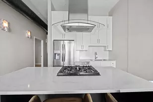 50 E 16th St, Chicago, IL 60616 - Photo 7