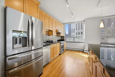 1000 N Lake Shore Plaza #24C, Chicago, IL 60611 - Photo 9