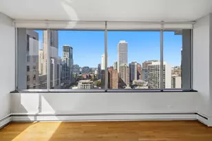 1000 N Lake Shore Plaza, Chicago, IL 60611 - Photo 7