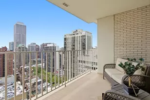 1000 N Lake Shore Plaza, Chicago, IL 60611 - Photo 19