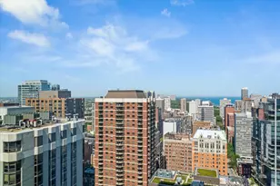 1030 N State St, Chicago, IL 60610 - Photo 9