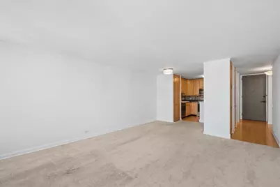 1030 N State Street #29C, Chicago, IL 60610 - Photo 5