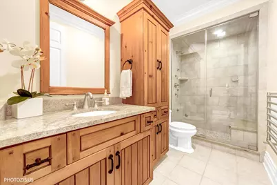 427 W Walnut Street, Hinsdale, IL 60521 - Photo 39
