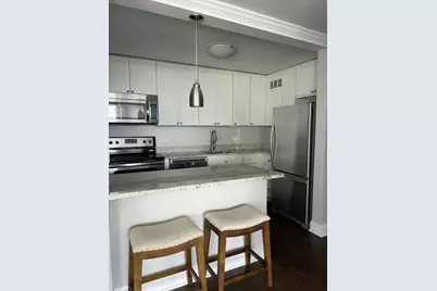 1455 N Sandburg Terrace #1609, Chicago, IL 60610 - Photo 3