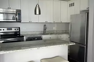 1455 N Sandburg Terrace, Chicago, IL 60610 - Photo 3