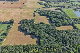 551 County Hwy 16 Hwy, Cisne, IL 62823 - Photo 19