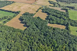 551 County Hwy 16 Hwy, Cisne, IL 62823 - Photo 17