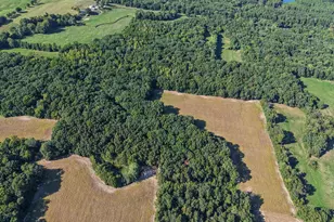 551 County Hwy 16 Hwy, Cisne, IL 62823 - Photo 21