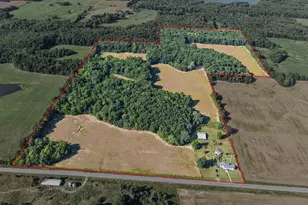 551 County Hwy 16 Hwy, Cisne, IL 62823 - Photo 25