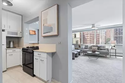 1150 N Lake Shore Drive #8K, Chicago, IL 60611 - Photo 13