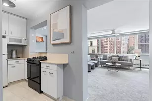 1150 N Lake Shore Dr, Chicago, IL 60611 - Photo 13