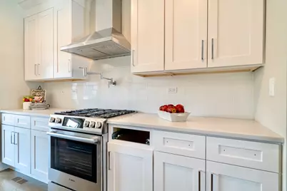 349 E 43rd Street, Chicago, IL 60653 - Photo 15