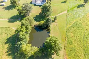 2217 Mercer Farm Rd, Centralia, IL 62801 - Photo 33