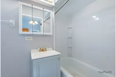 3001 S Haynes Court, Chicago, IL 60608 - Photo 43