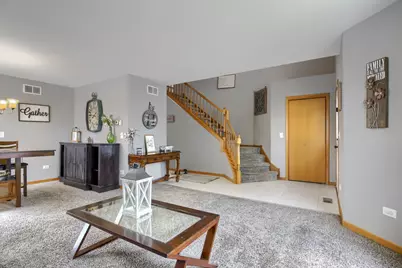 25712 W Lilac Avenue, Monee, IL 60449 - Photo 3