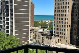1450 N Astor St, Chicago, IL 60610 - Photo 23
