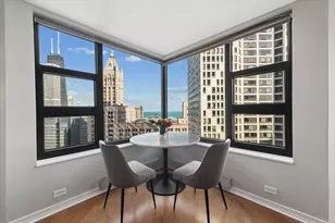 401 E Ontario St, Chicago, IL 60611 - Photo 9