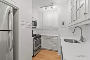 247 E Chestnut St, Chicago, IL 60611 - Photo 5