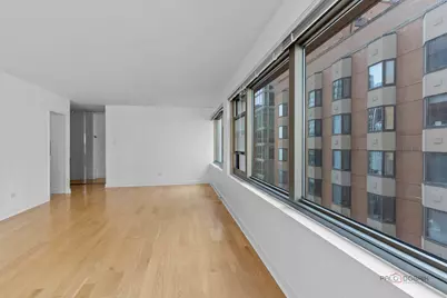 247 E Chestnut Street #1804, Chicago, IL 60611 - Photo 11