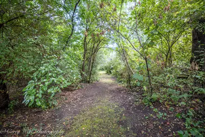 S243 Rowe Road, Elburn, IL 60119 - Photo 53