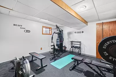 1419 Coral Bell Drive, Joliet, IL 60435 - Photo 17