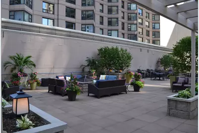 400 E Ohio Street #4402, Chicago, IL 60611 - Photo 21