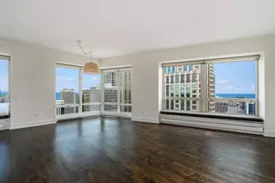 57 E Delaware Pl, Chicago, IL 60611 - Photo 5