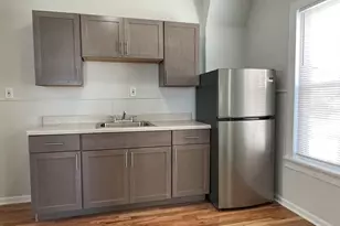 1151 W 19th St, Chicago, IL 60608 - Photo 5