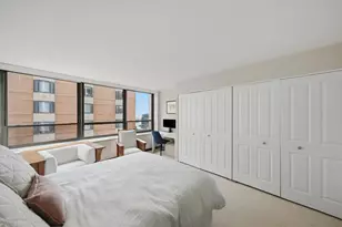 222 E Pearson St, Chicago, IL 60611 - Photo 21