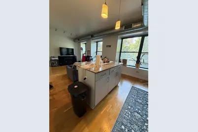 4537 S Drexel Boulevard #203, Chicago, IL 60653 - Photo 3
