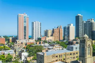 88 W Schiller St, Chicago, IL 60610 - Photo 13