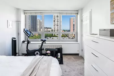 88 W Schiller Street #1003L, Chicago, IL 60610 - Photo 9