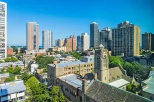 88 W Schiller St, Chicago, IL 60610 - Photo 11