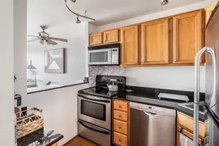 88 W Schiller St, Chicago, IL 60610 - Photo 7