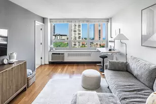 88 W Schiller St, Chicago, IL 60610 - Photo 5