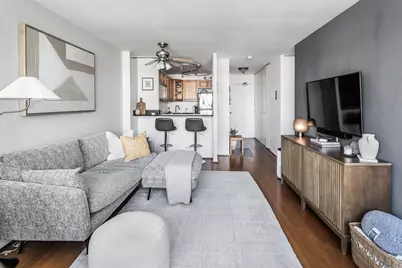 88 W Schiller Street #1003L, Chicago, IL 60610 - Photo 3