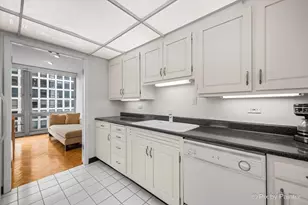 860 N Lake Shore Dr, Chicago, IL 60611 - Photo 11