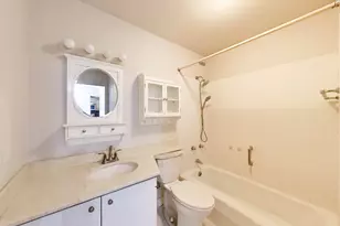 1555 N Sandburg Terrace, Chicago, IL 60610 - Photo 11
