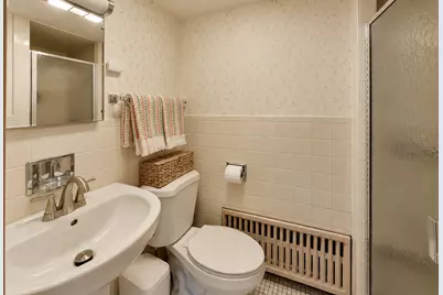 234 Belleplaine Avenue, Park Ridge, IL 60068 - Photo 21