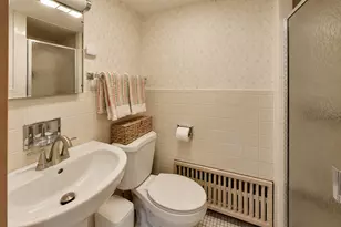 234 Belle Plaine Ave, Park Ridge, IL 60068 - Photo 21