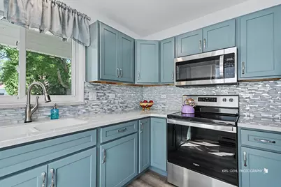 7203 Blair Lane #314, Fox Lake, IL 60020 - Photo 9