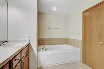 169 Willey Street, Gilberts, IL 60136 - Photo 19