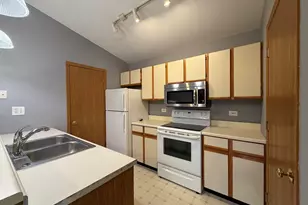 1351 Cunat Ct, Lake in the Hills, IL 60156 - Photo 9