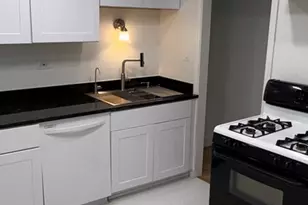 539 W Brompton Ave, Chicago, IL 60657 - Photo 11
