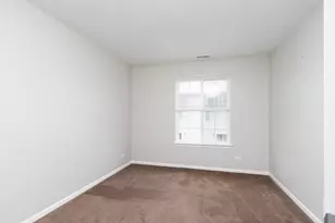 1369 New Haven Dr, Cary, IL 60013 - Photo 15
