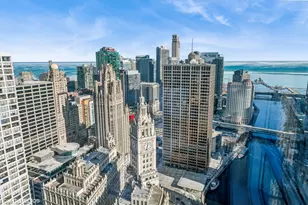 401 N Wabash Ave, Chicago, IL 60611 - Photo 59